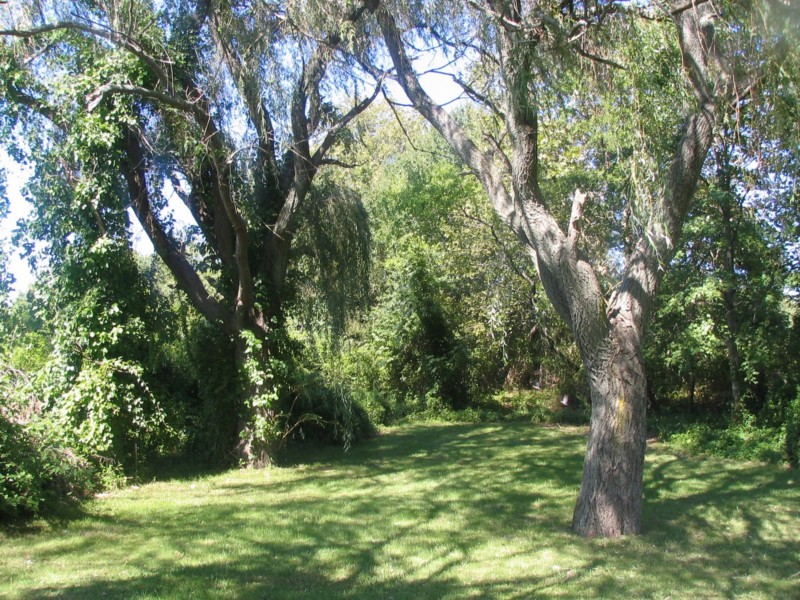 I thought I might be able to walk around the lake a bit, but it's blocked by vegetation