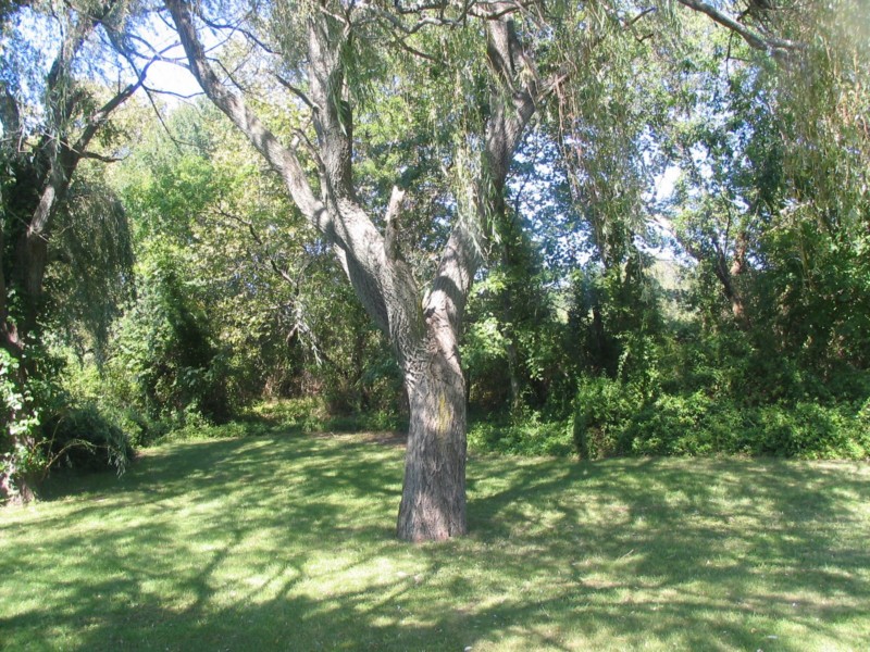 To the east of the lake