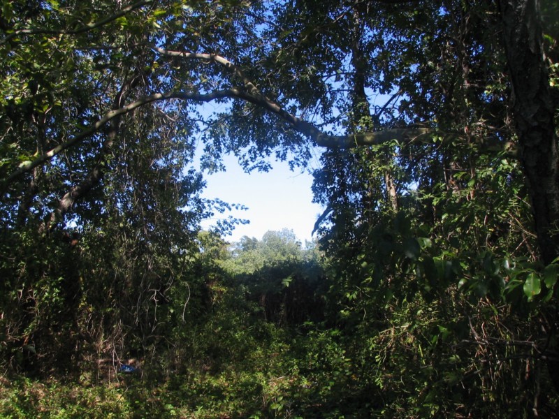 Curse you Robert Moses!