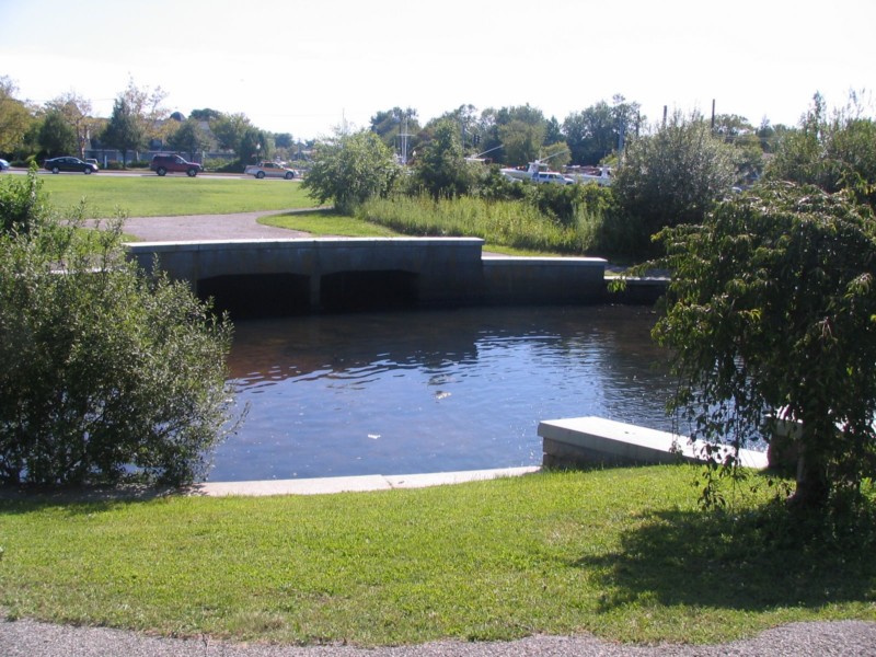 This is not very park like