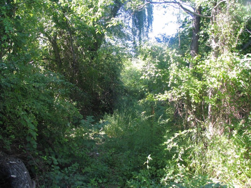 Around the West side of the lake. You can't walk very far before you're blocked.